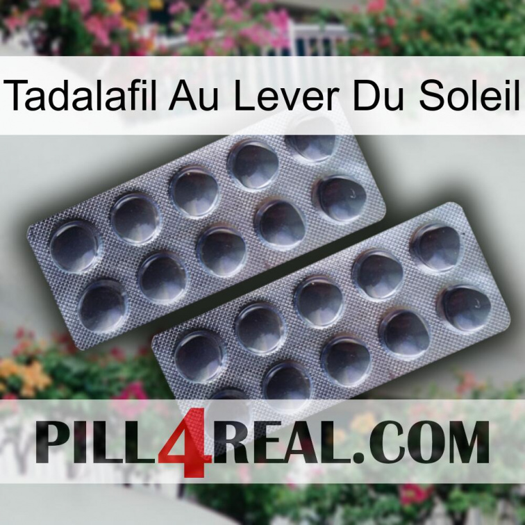 Sunrise Tadalafil 31